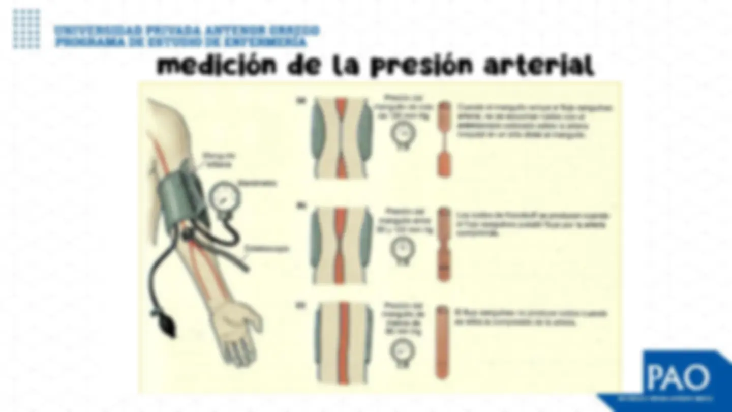 SEMINARIO 1: REGULACIÓN DE LA PRESIÓN ARTERIAL | Diapositivas de ...