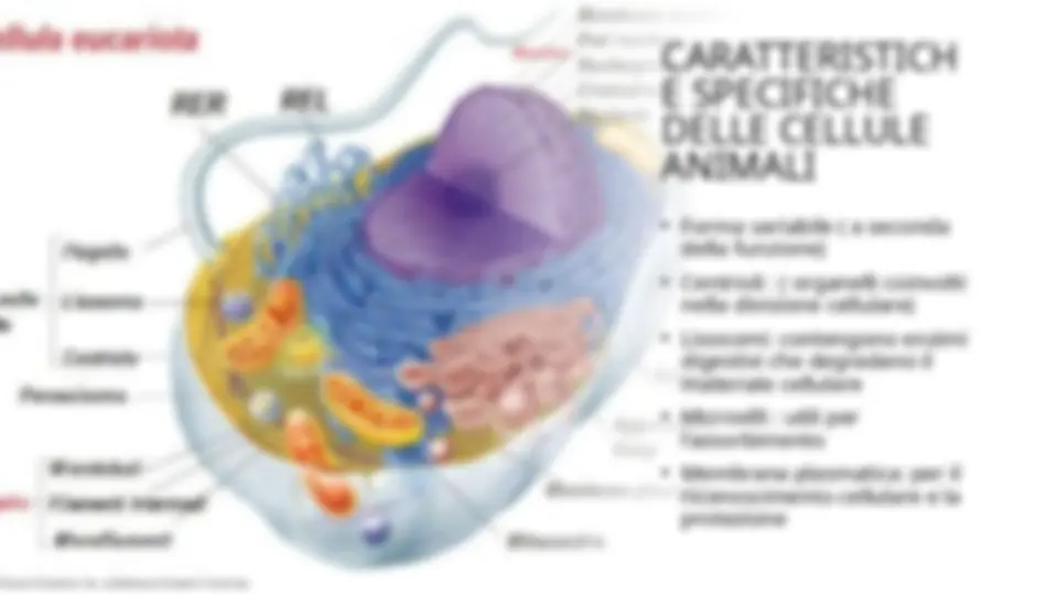 pfa