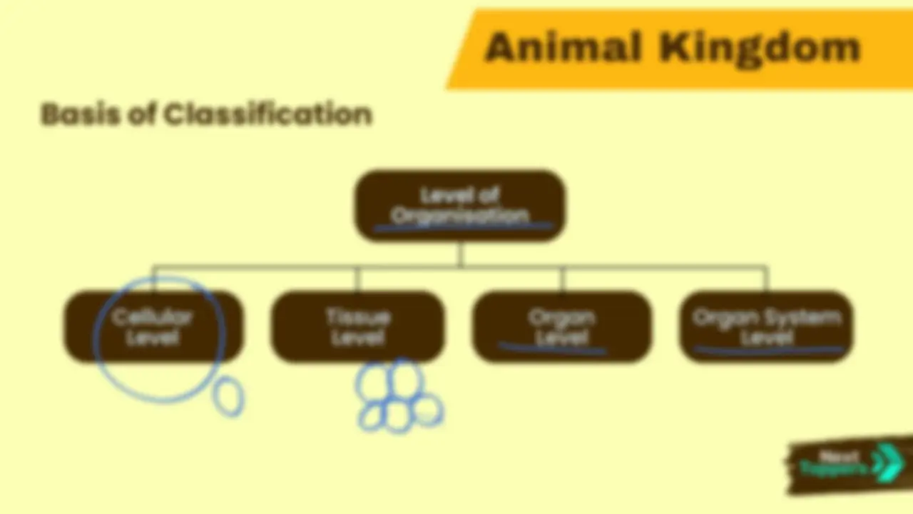 Class 11 biology chapter name is Animal Kingdom | Lecture notes Biology ...
