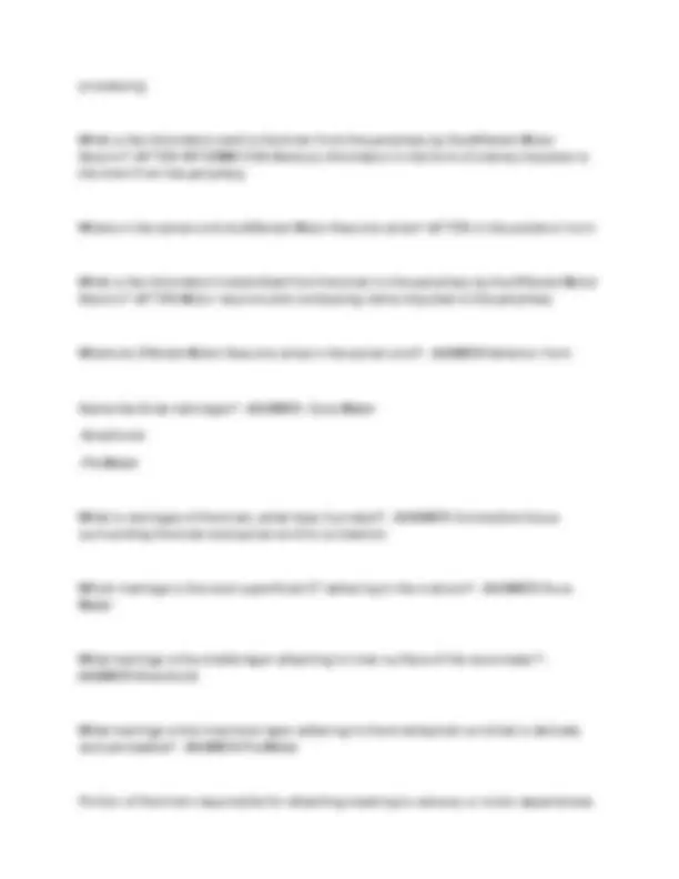 Neuroanatomy Exam Review: Cranial Nerves, Brain Structures, Pathways ...
