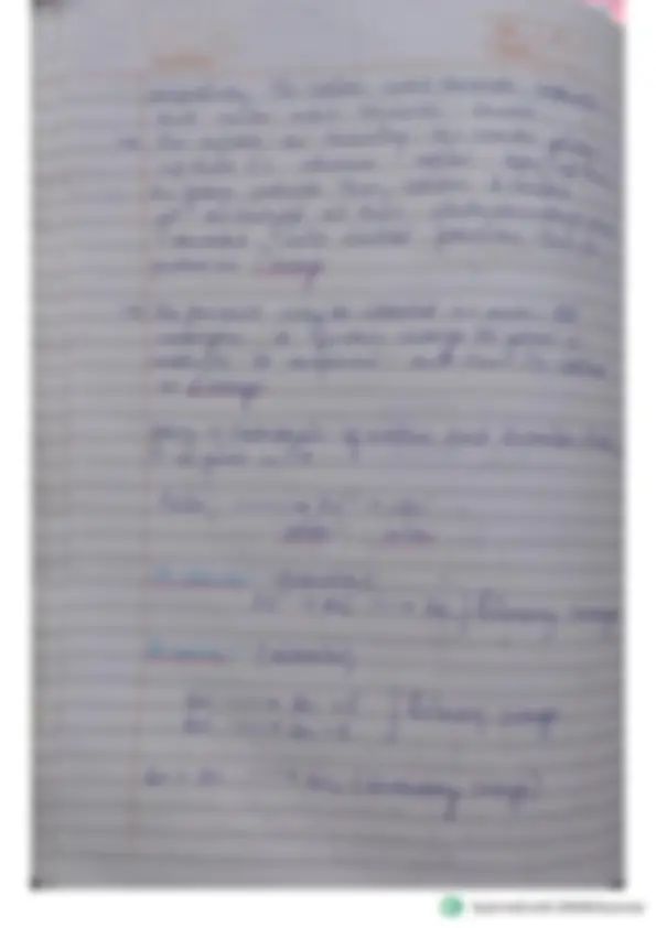 pf1e