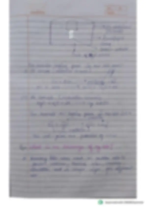 pf29