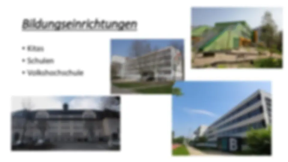 pf1e