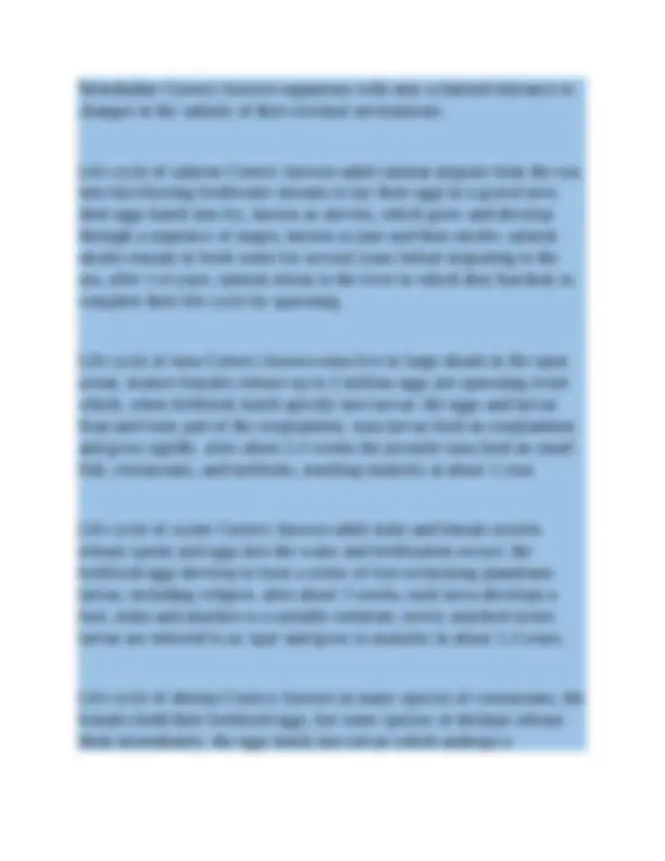 AICE Marine Science A Level questions with correct answers | Exams ...