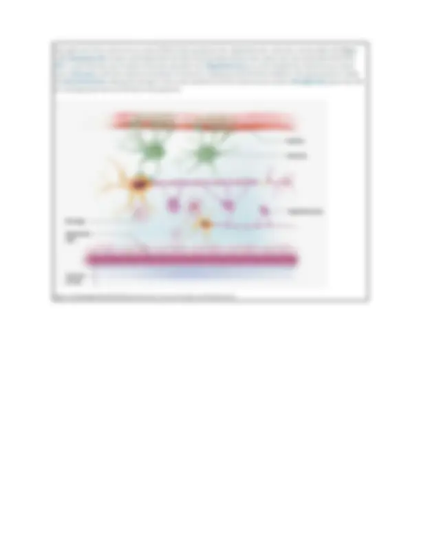 BIOD 152 Essential Human Anatomy and Physiology 2 Exam 1 Diagrams with ...