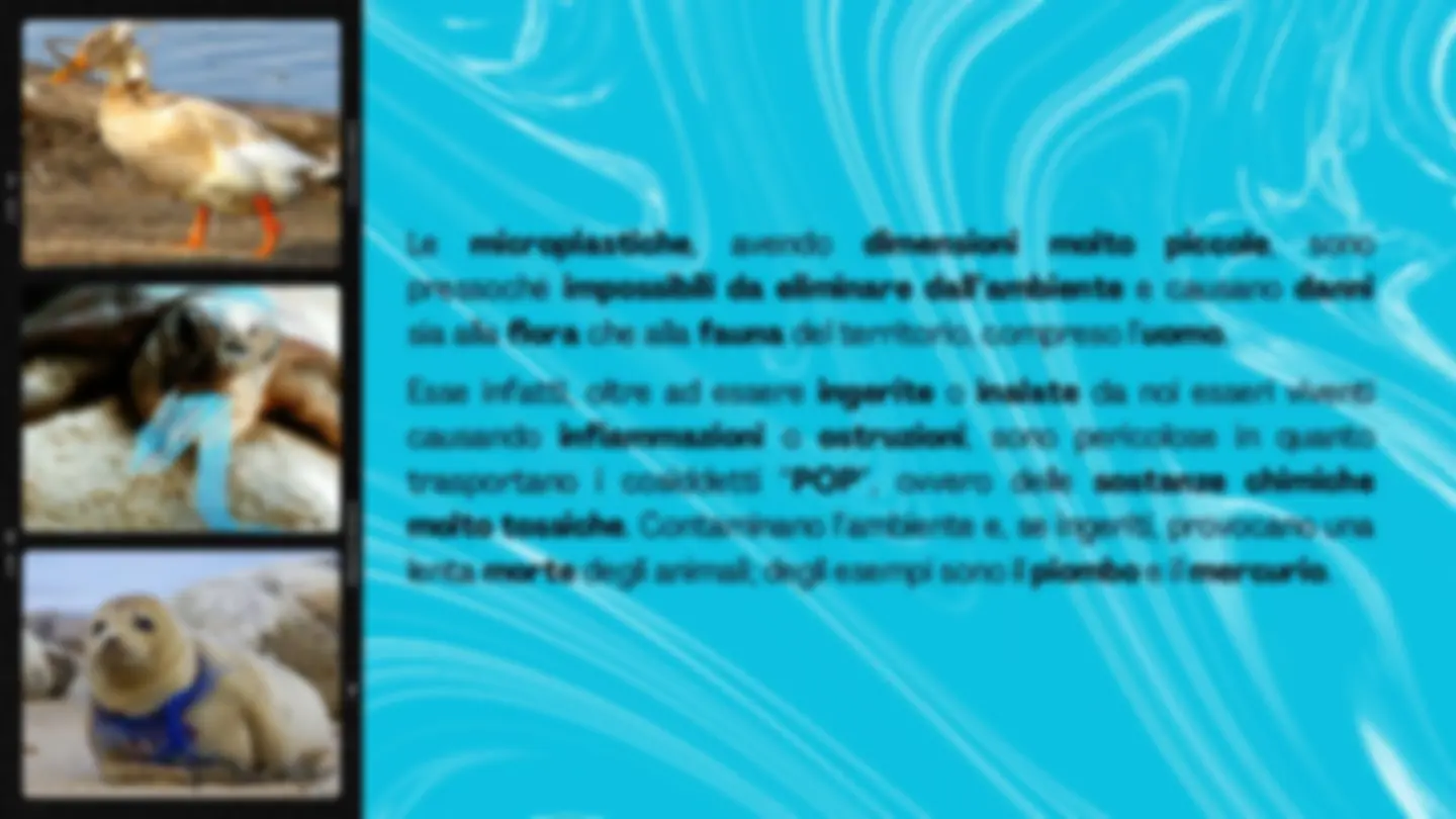 pf4
