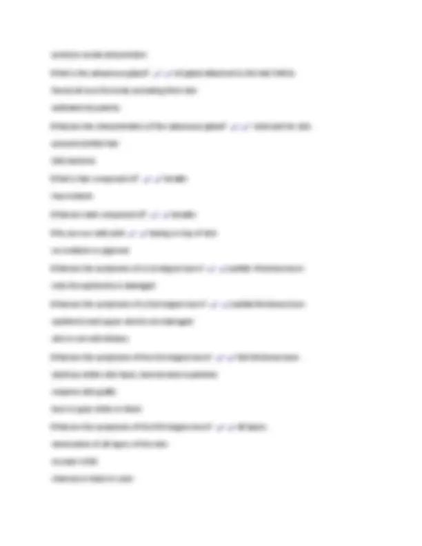 Anatomy & Physiology 1 Final Exam Review 2024-2025. Questions & Correct ...