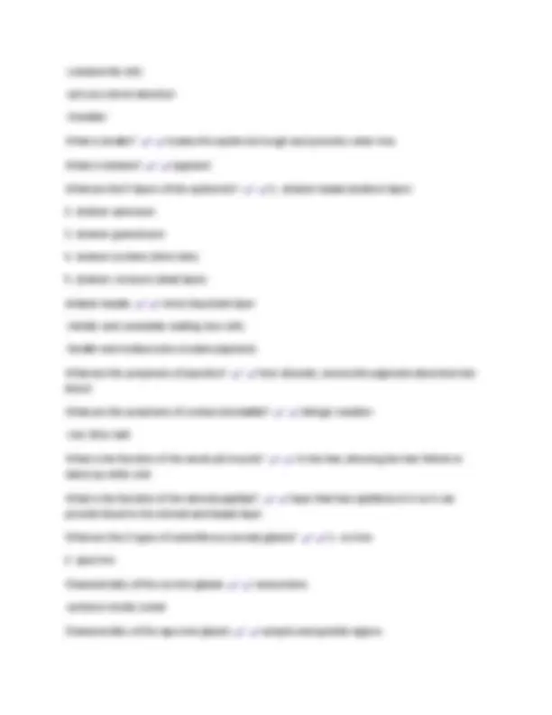 Anatomy & Physiology 1 Final Exam Review 2024-2025. Questions & Correct ...