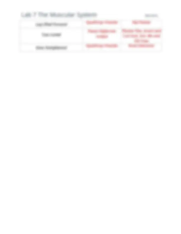 lab 7 - - x - sql-nug Images High Quality Grahic 2025 BIO 201L Lab 7 The Muscular System COMPLETE NEW LAB SOLUTION ...