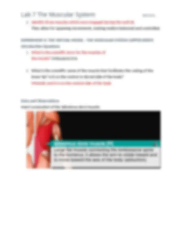 lab 7 - - x - sql-nug Images High Quality Grahic 2025 BIO 201L Lab 7 The Muscular System COMPLETE NEW LAB SOLUTION ...