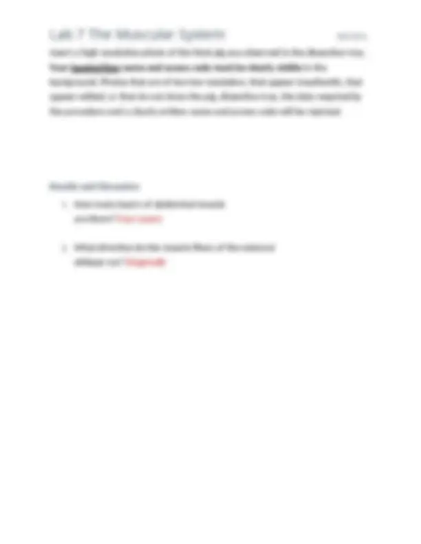 lab 7 - - x - sql-nug Images High Quality Grahic 2025 BIO 201L Lab 7 The Muscular System COMPLETE NEW LAB SOLUTION ...