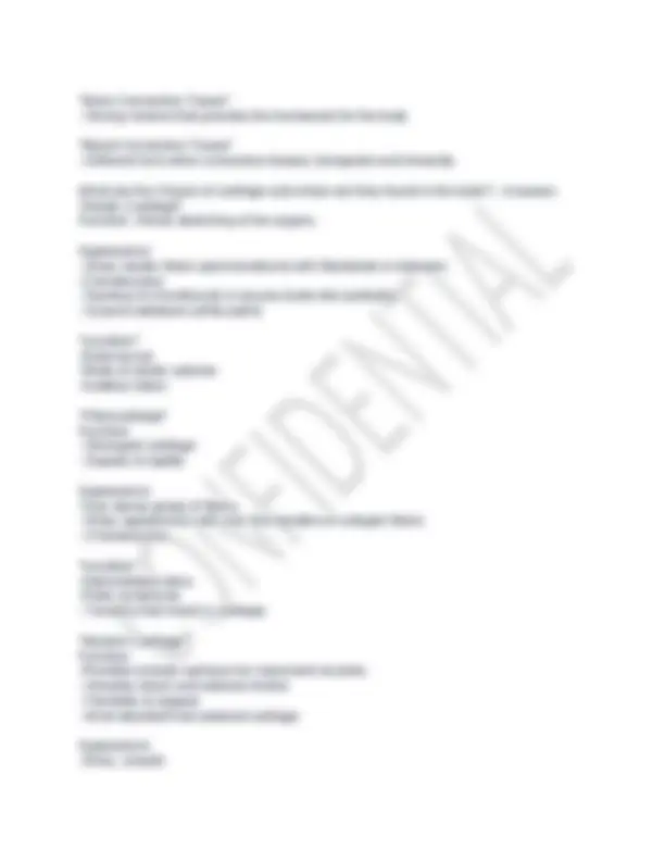 Anatomy & Physiology Final Exam Study Guide 2025 | Exams Nursing | Docsity
