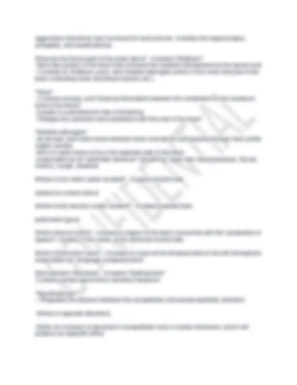 Anatomy & Physiology Final Exam Study Guide 2025 | Exams Nursing | Docsity
