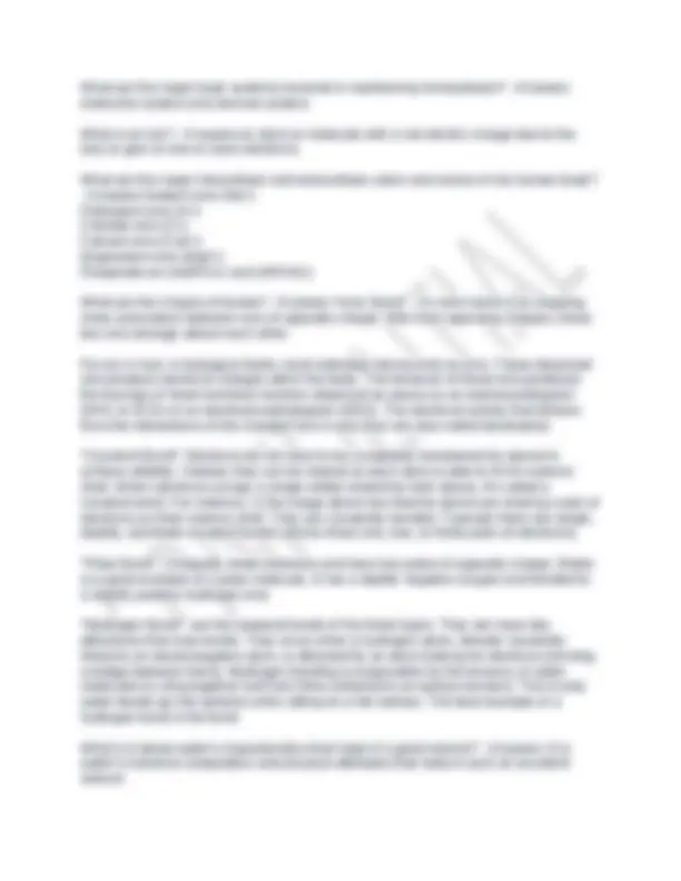 Anatomy & Physiology Final Exam Study Guide 2025 | Exams Nursing | Docsity