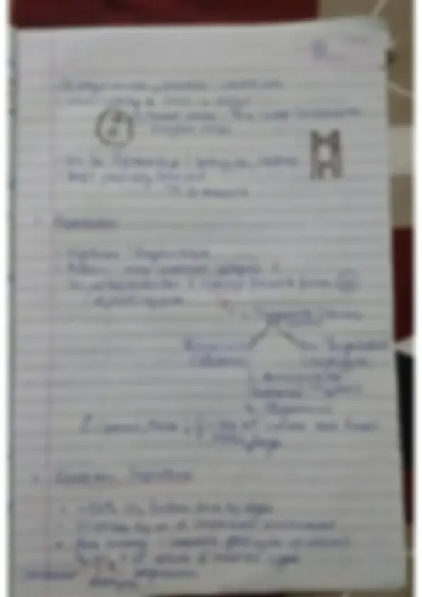 pf5