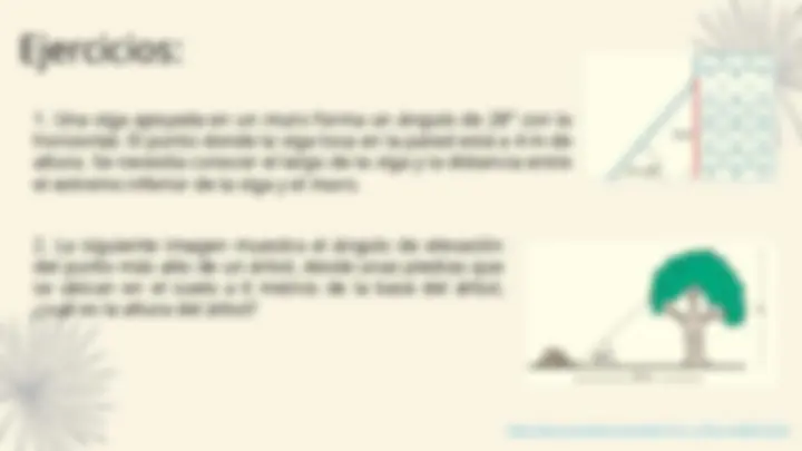 pf19