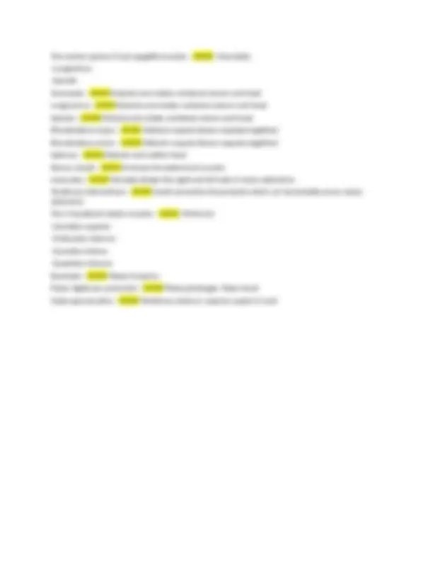 IUPUI Biol N261 Exam 3 Muscles and Actions | Actual study | 2025 Latest ...