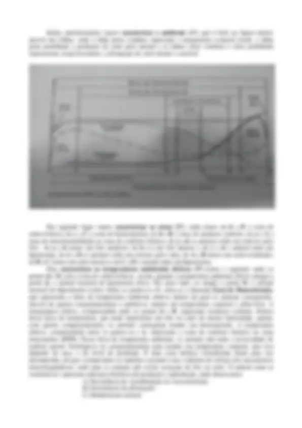 pf1c