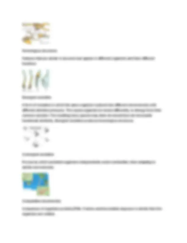 A-Level Biology Exam Prep: Key Genetic Definitions 2025-2026 | Exams ...