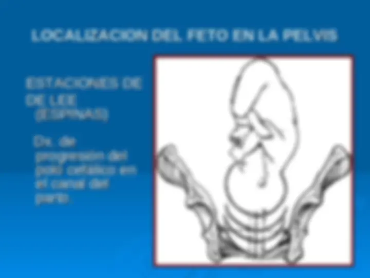 pf2f