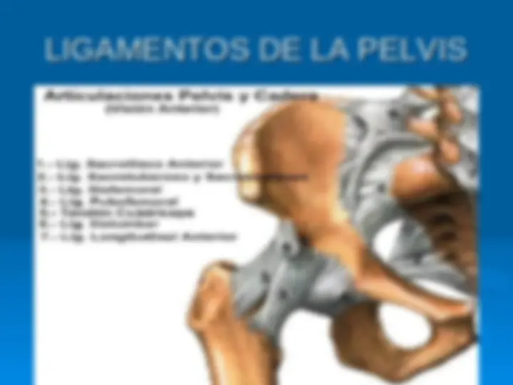 pf13