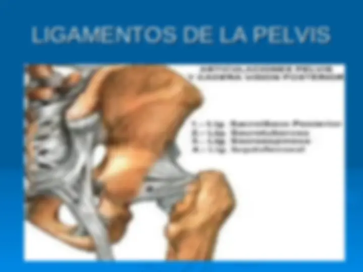 pf14