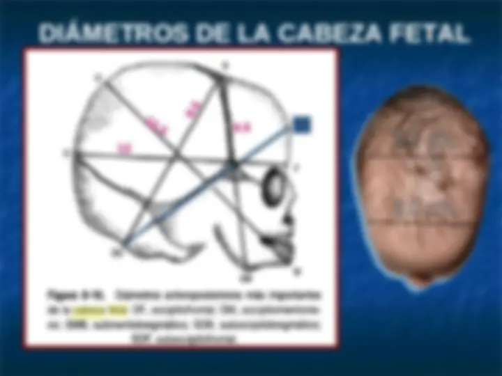 pf37