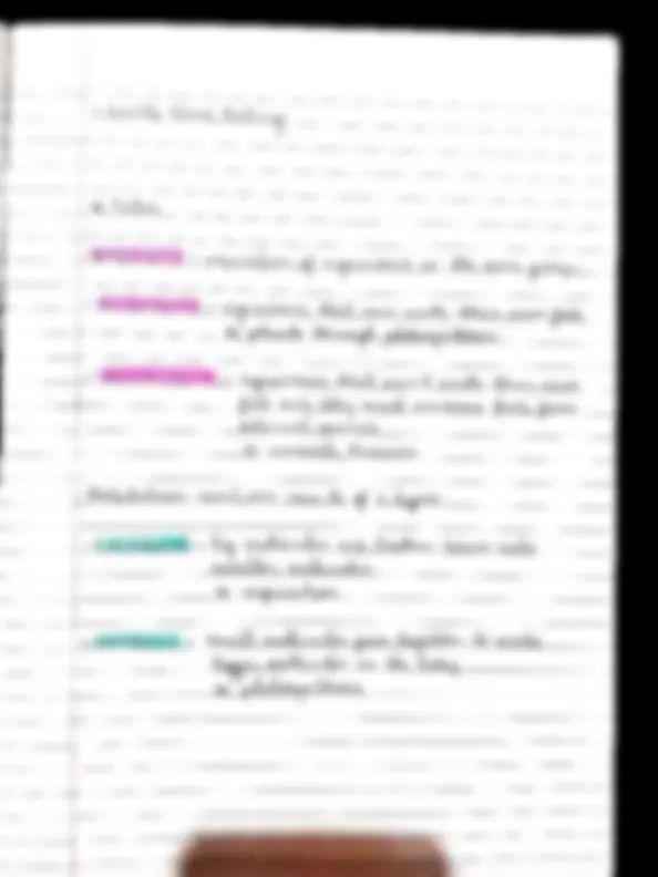 pf3