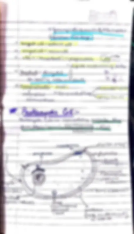 pf3