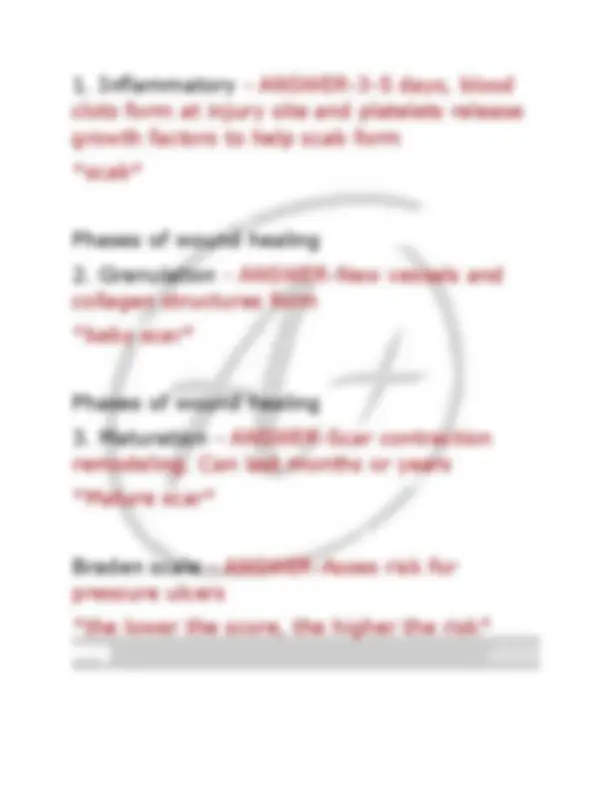 Hondros NUR 205 final (2025) ACTUAL EXAM comprehensive questions and ...