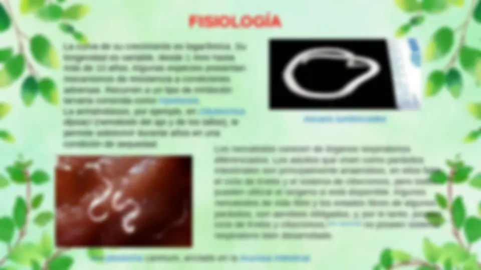 pf4