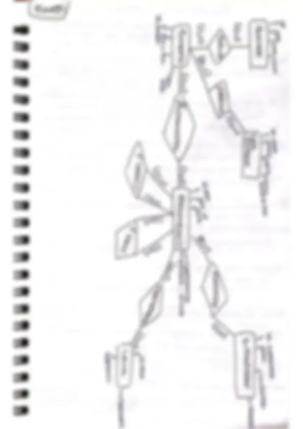 pf1b