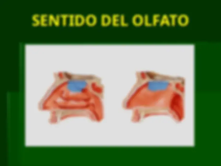pf13