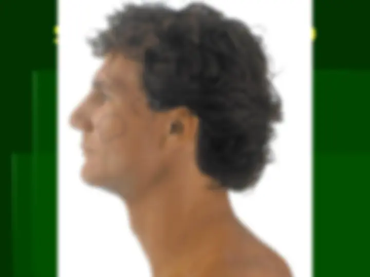 pf19
