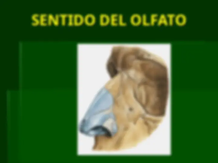 pf4