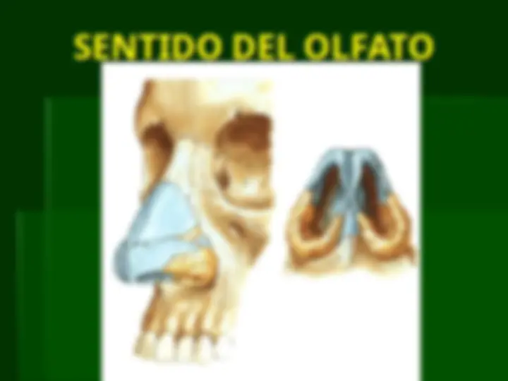 pf3