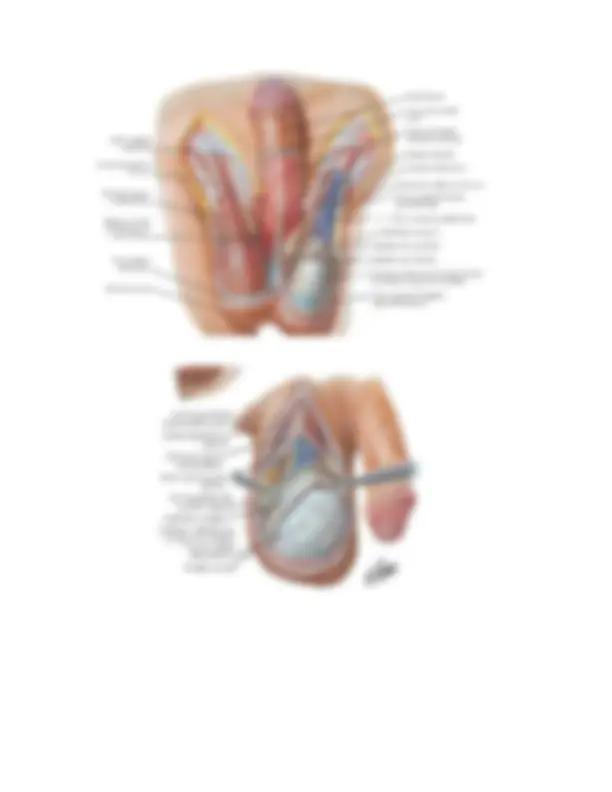pf5