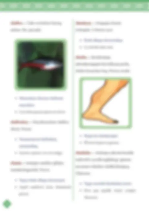 pf26