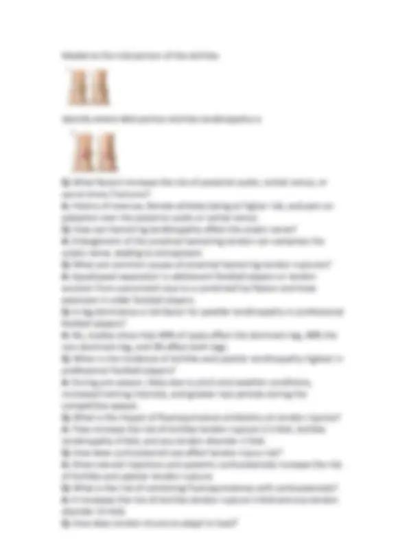 SPORTS MEDICINE AND ANATOMY OF THE LOWER LIMB COMPLETE SOLUTIONS, Exams ...