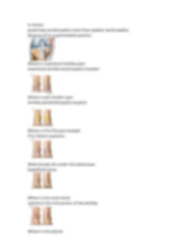 SPORTS MEDICINE AND ANATOMY OF THE LOWER LIMB COMPLETE SOLUTIONS, Exams ...