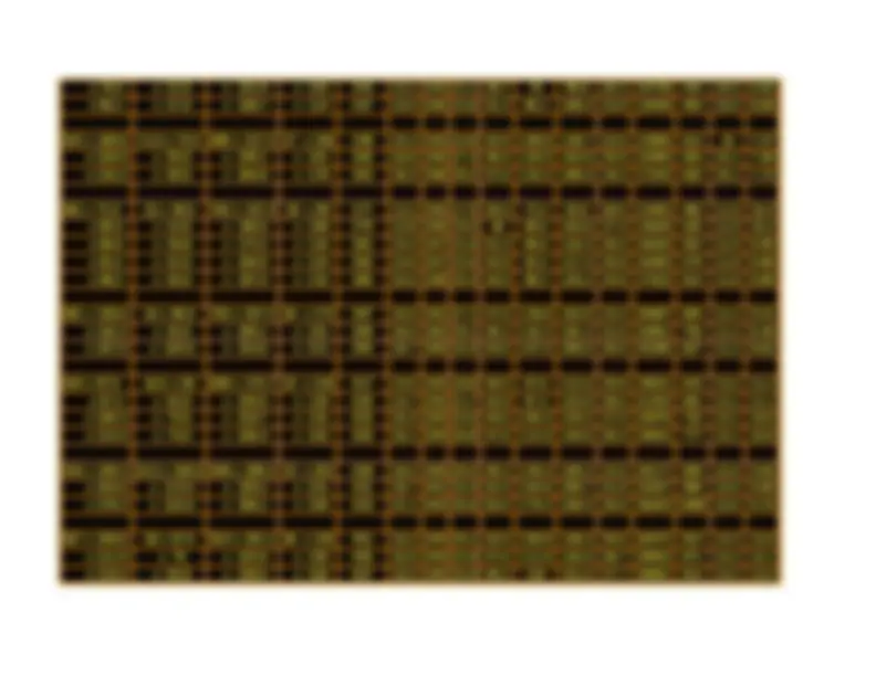 pf2f