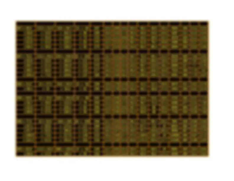 pf2e