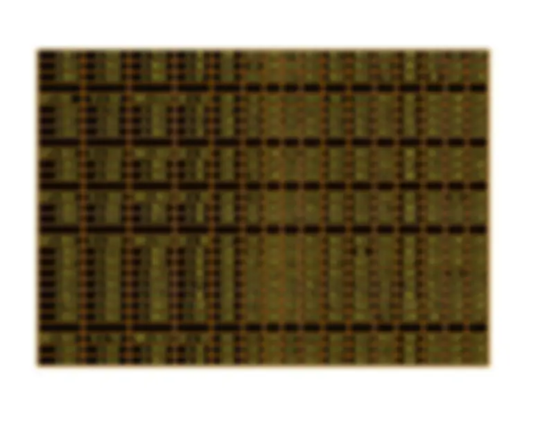 pf2a