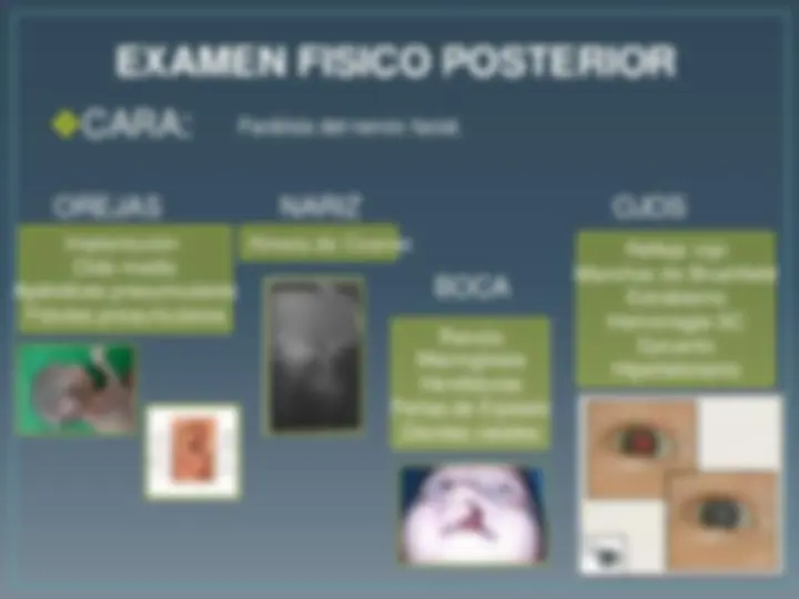 pf2c