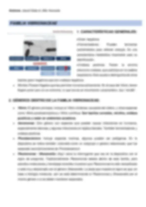 pf13
