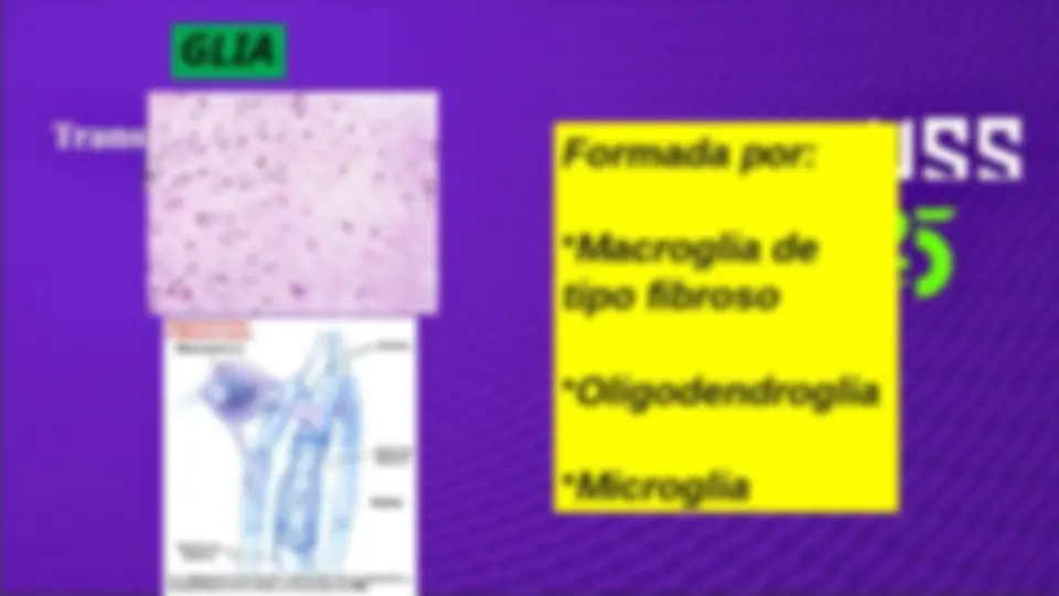 pf36