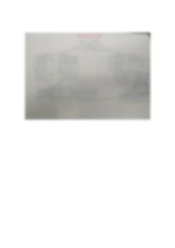 pf5