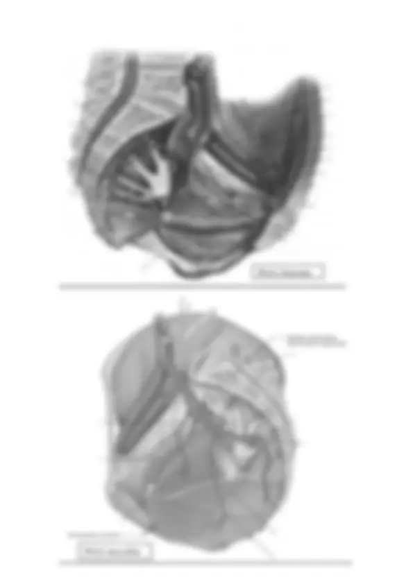 pf3