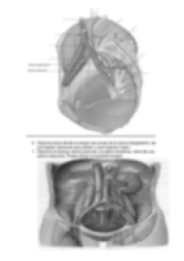 pf4