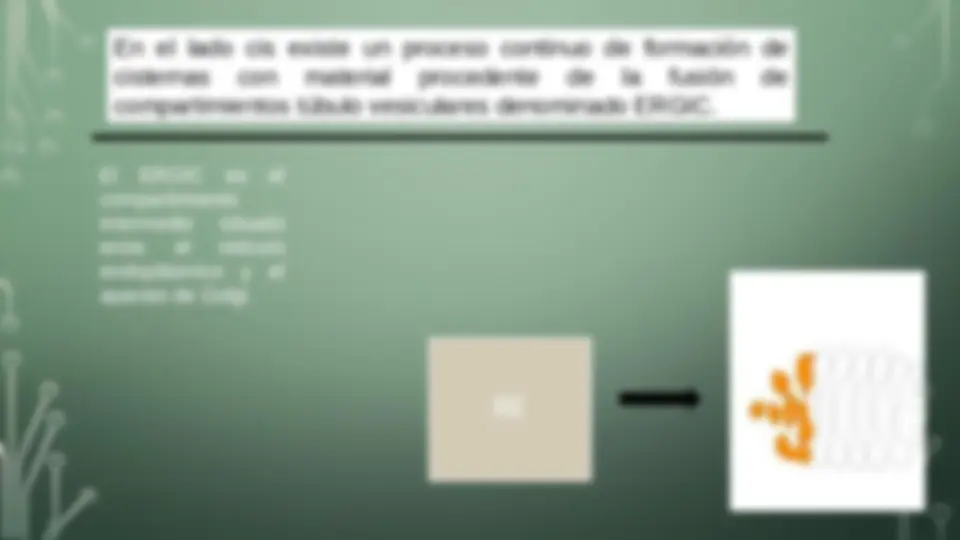 pf1a